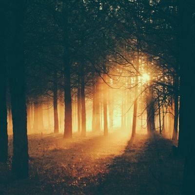 亚新下载手机版