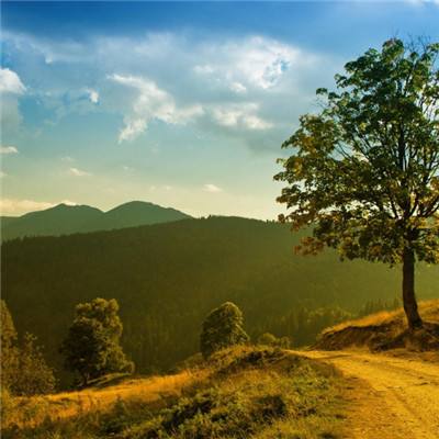 江南全站登录手机app下载