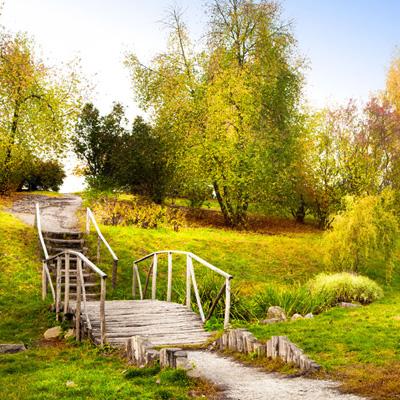 亚新网址下载截图